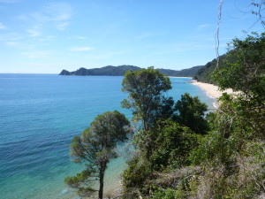 Abel Tasman track